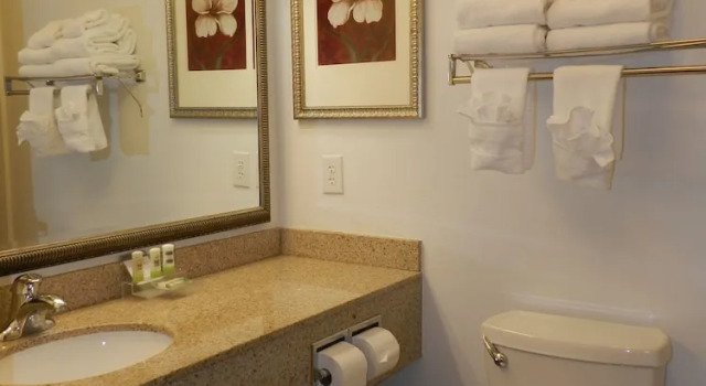 Люкс c 1 комнатой Country Inn & Suites by Radisson, Braselton, GA