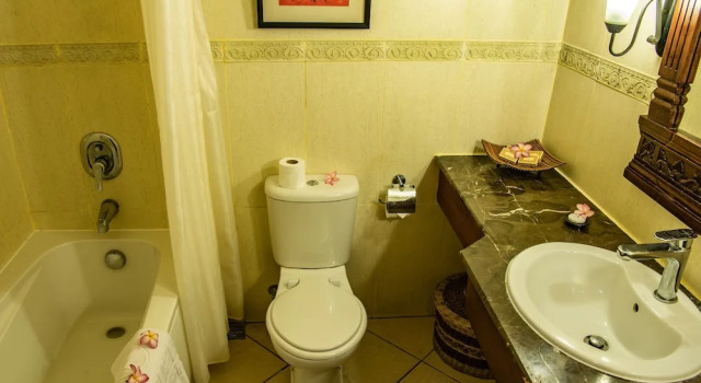 Одноместный номер Standard Aanari Hotel & Spa- Mauritius