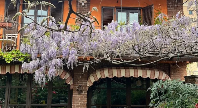 La casa Arancione, Buchen Sie Hotel Boves Piemont