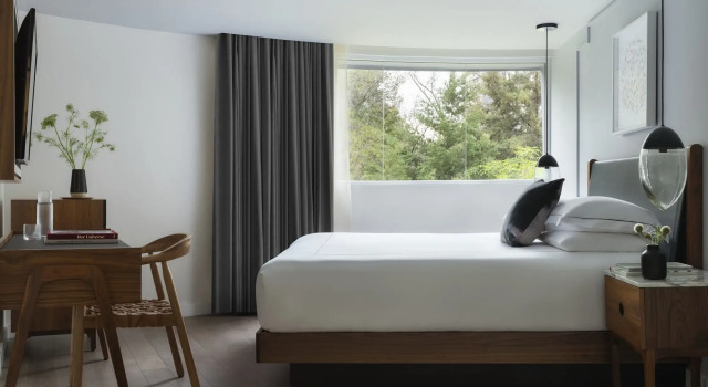 Kimpton Virgilio Polanco by IHG, Book Hotel Mexico City Mexico DF