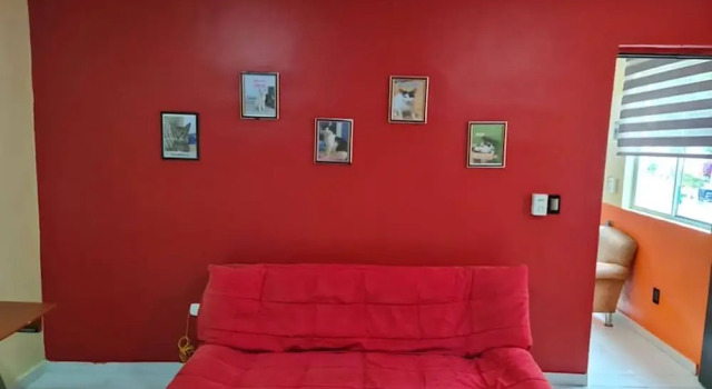 Excellent Apartment in Altaomico Floor and Equipped ac, Wifi, Tv, Réserver Appartement Mérida Yucatán