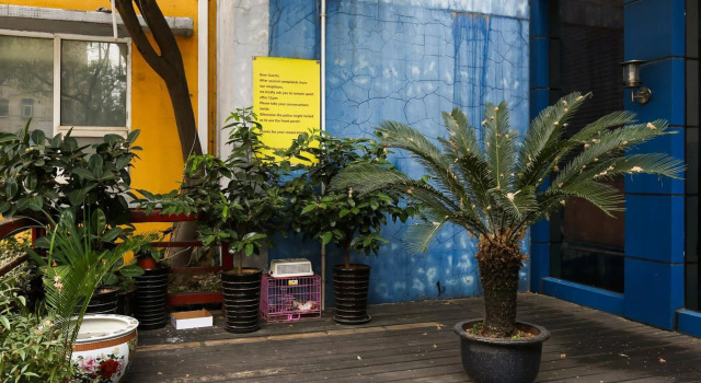 Shanghai City Central International Hostel, Varaa Hostelli Putuo 