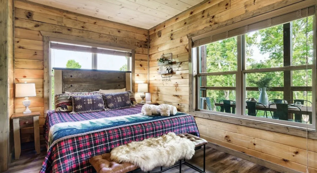 Eagle Splash Vista| Pool Projector, Pet Friendly, Game Room