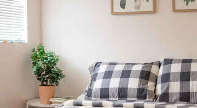 Charming 2BR Casita in Front of Park