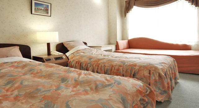 Двухместный номер Standard Hotel Green Plaza Joetsu