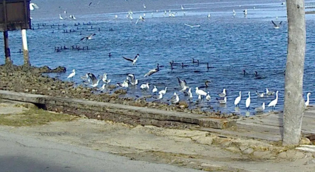 Riverfront close to beach