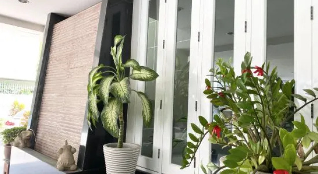 14Place Sukhumvit Villa @ Terminal 21 Bangkok, Забронировать Вилла Коттеджи Бангкока, рядом с Развлекательный центр Nana Plaza, Коттедж