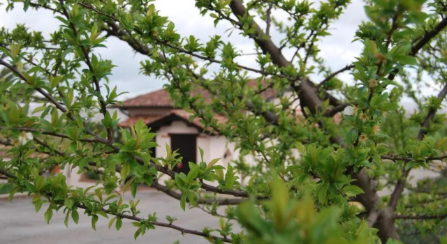 Agriturismo Torre Cristina, Réserver Hôtel Aprilia Latium