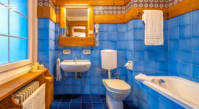 Номер Standard Parc Hotel Victoria