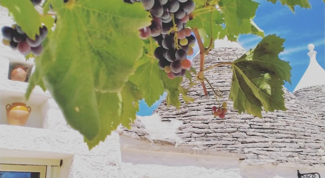 Трёхместный номер Standard B&B Masseria Nuove Caselle