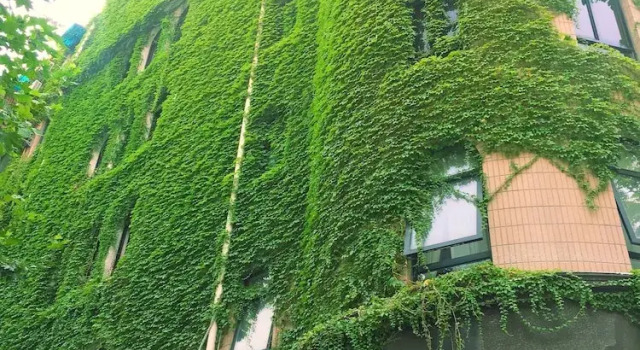 No.5 Chinese Vintage House, Varaa Hotelli Xuhui 