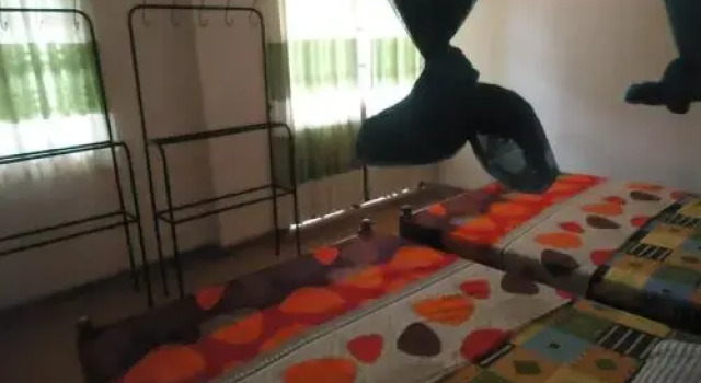 Orestar Guest House