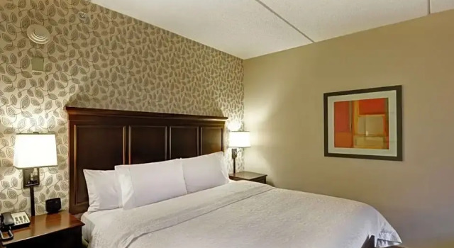 Двухместная студия Hampton Inn Tunkhannock