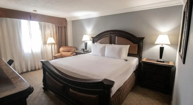 Двухместный люкс c 1 комнатой Wyndham Houston near NRG Park - Medical Center