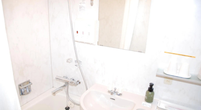 Номер Standard Albert Hotel Akita