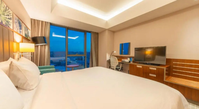 Двухместный номер Hilton Garden Inn Istanbul Atatürk Airport