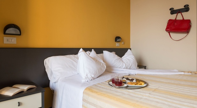 Двухместный номер Standard Hotel Airone
