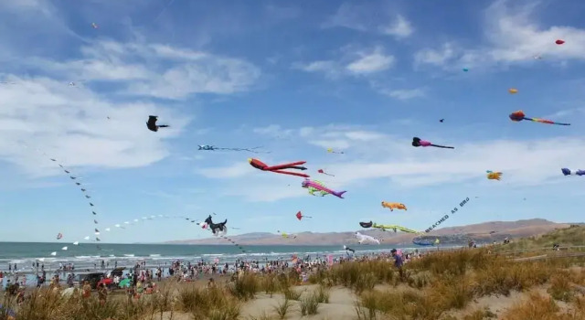 Christchurch Backpackers