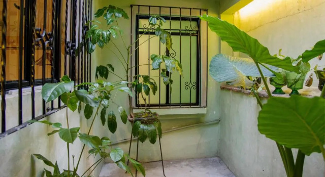 Люкс Agrado Guest House