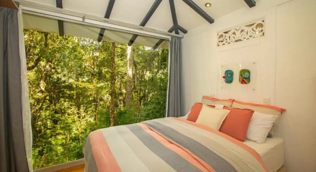 Бунгало с 2 комнатами Dantica Cloud Forest Lodge