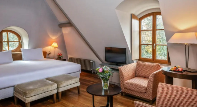 Люкс Hôtel Résidence Parc des Eaux Vives