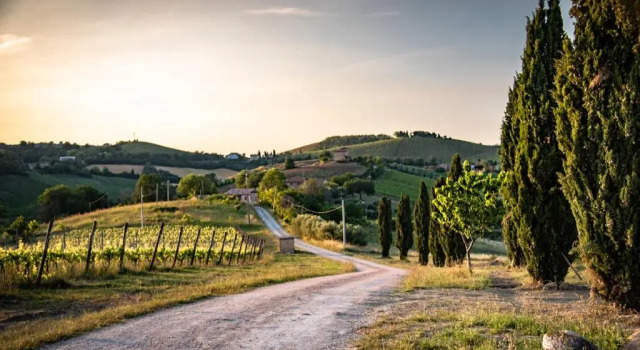 Номер Standard Recchi Franceschini Bike Hotel LAST - MINUTE - AVAILABILITY