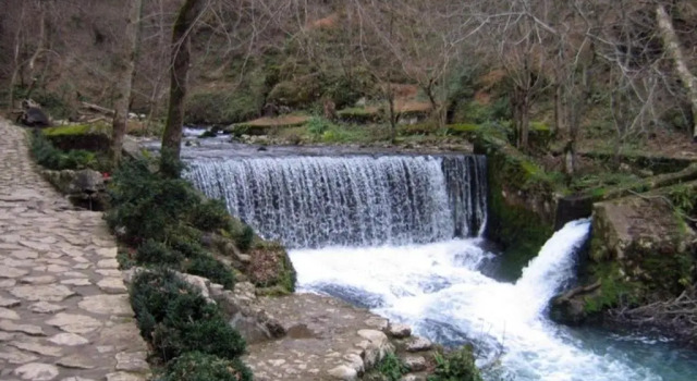 zhil'e v tsentre Novogo Afona, Varaa Huoneisto New Athos Gudauta district