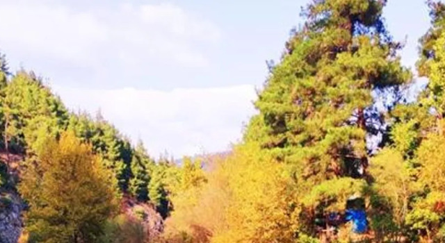 İpek Böceği Park, Book Hostel / Vandrerhjem Hostels i Bursa, Hostel / Vandrerhjem