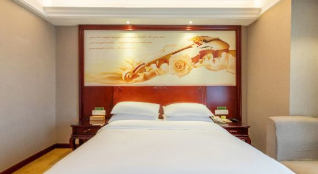Люкс Business Vienna International Hotel Zhuzhou Liyu