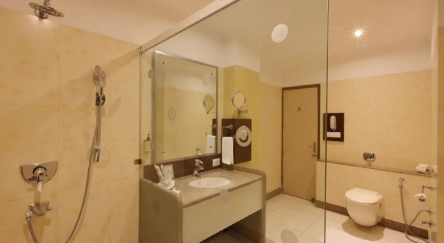 Номер Business Lemon Tree Hotel Baddi