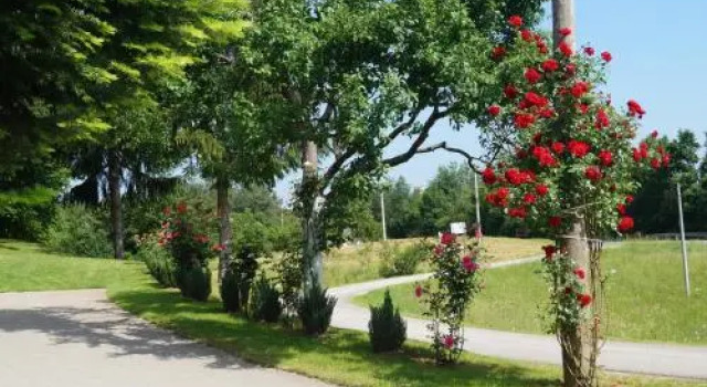 Apartment Drago, Book Lejlighed Hoteller i Karlovac county med parkering, Parkering