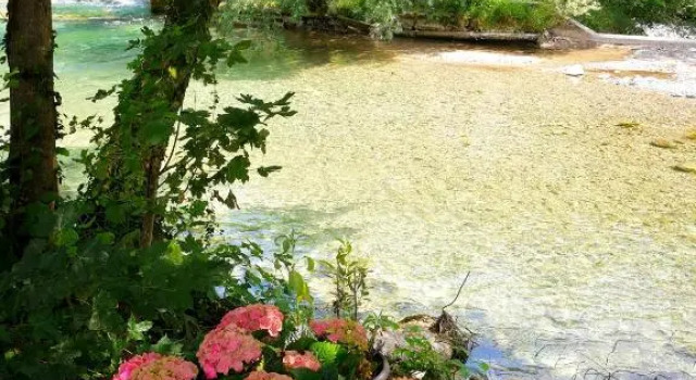 River house HRIB, Забронировать Отель Отели Среднесловенского региона с бассейном, Бассейн