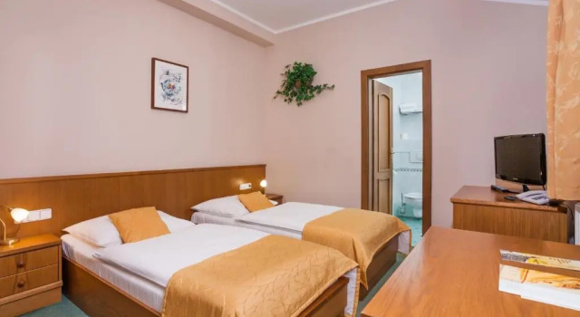 Двухместный номер Standard Hotel Jelínkova vila