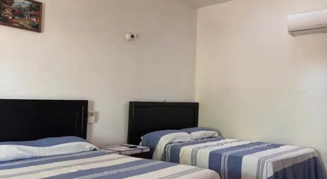 Двухместный номер Standard с видом на сад Casa Terranova
