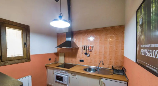 Апартаменты c 1 комнатой Apartamentos Casasturga
