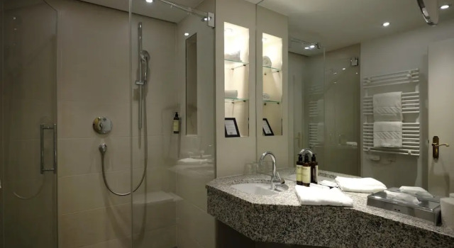 Трёхместный номер Standard Hotel Villa Carlton