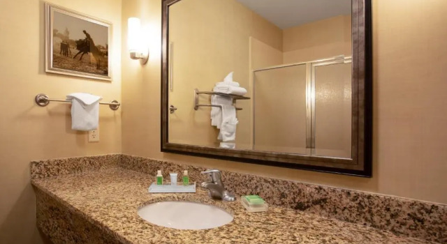 Двухместный номер Executive Holiday Inn Laramie by IHG