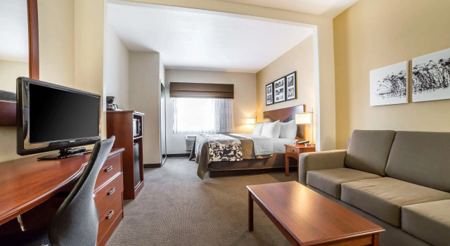 Двухместный люкс Sleep Inn & Suites Douglas