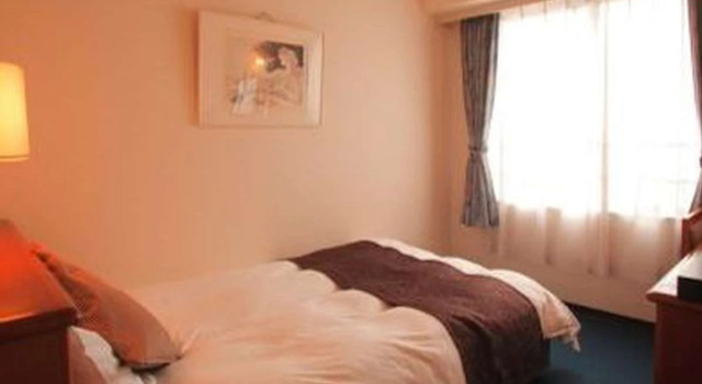 Одноместный номер Standard Hotel Sekumiya