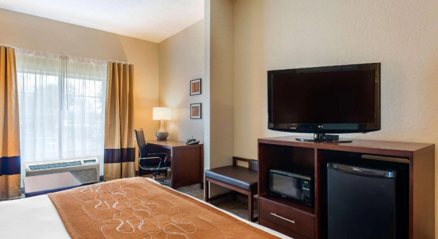 Двухместный люкс Comfort Suites Downtown