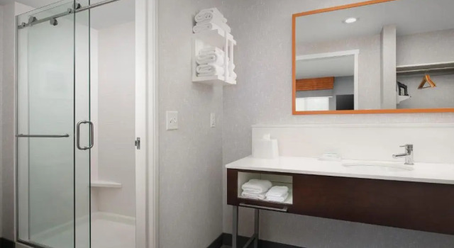 Четырёхместный люкс Hampton Inn & Suites Rapid City Rushmore, SD