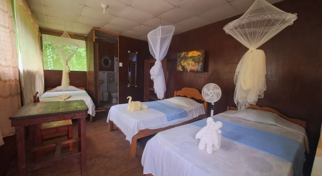 Трёхместный номер Standard с балконом и с видом на реку Jacamar Lodge Expeditions