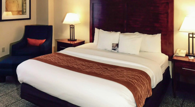 Номер Standard Comfort Inn Conference Center