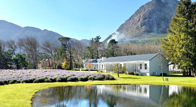 Люкс Lavender Farm Boutique Guest House