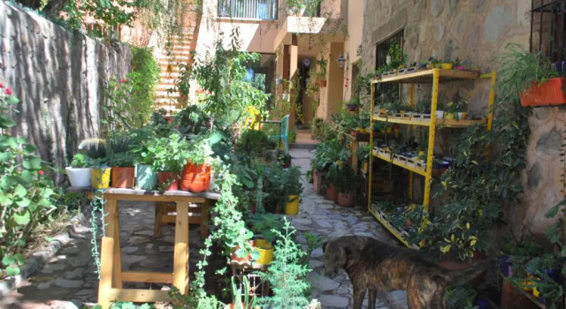 Номер Standard Apartamento en el vivero