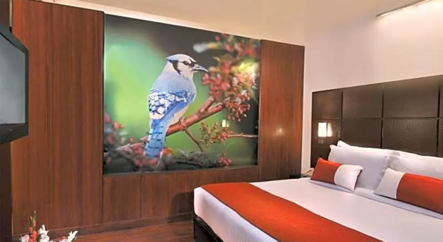 Номер Deluxe Comfort Inn Tulip Heights