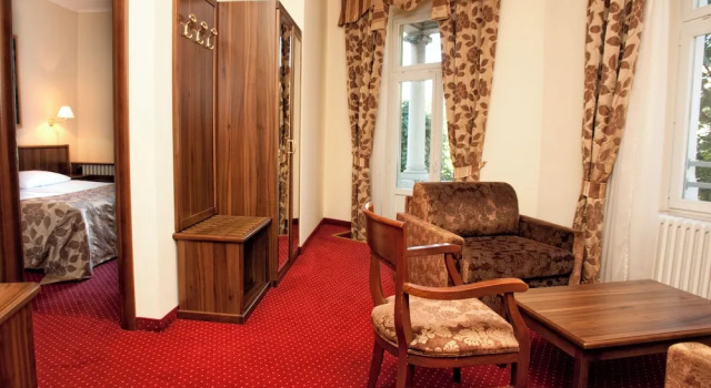 Люкс Standard Hotel Continental