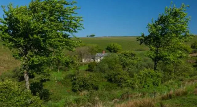 Limecombe
