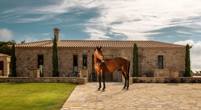 Villa Estrella