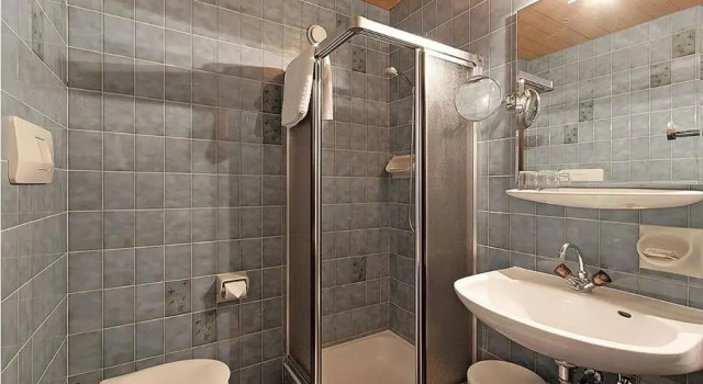 Номер Standard Panorama Garni Ingrid
